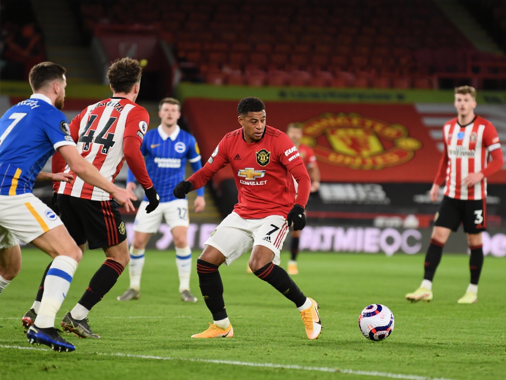 的完美结合 的完美结合